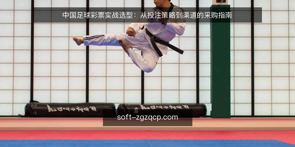 中国足球彩票实战选型:从投注策略到渠道的采购指南 — 明确需求:投注目标与风险边界 配图