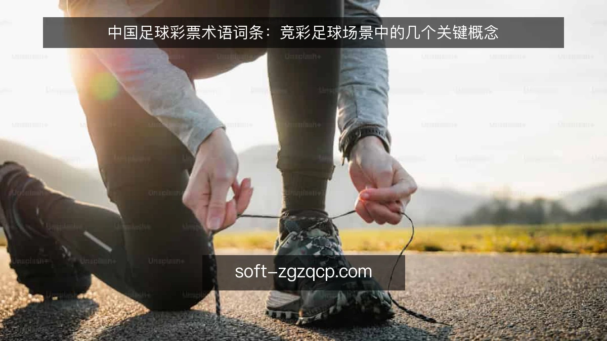 中国足球彩票术语词条：竞彩足球场景中的几个关键概念