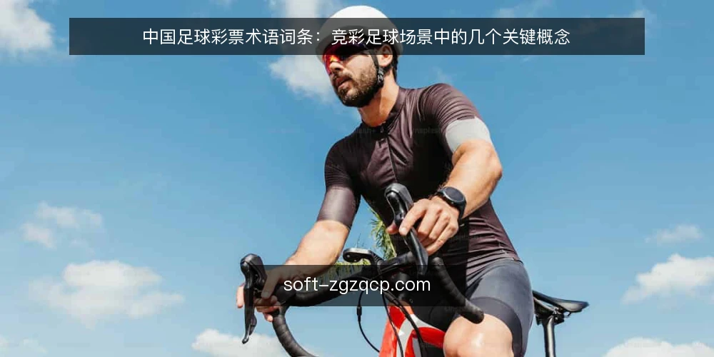 中国足球彩票术语词条：竞彩足球场景中的几个关键概念 — 场景起点：一张竞彩足球票面里有哪些术语 配图