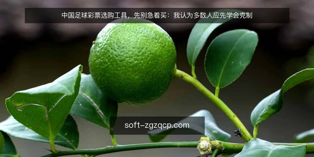 中国足球彩票选购工具,先别急着买:我认为多数人应先学会克制 — 先定义你要解决的需求 配图